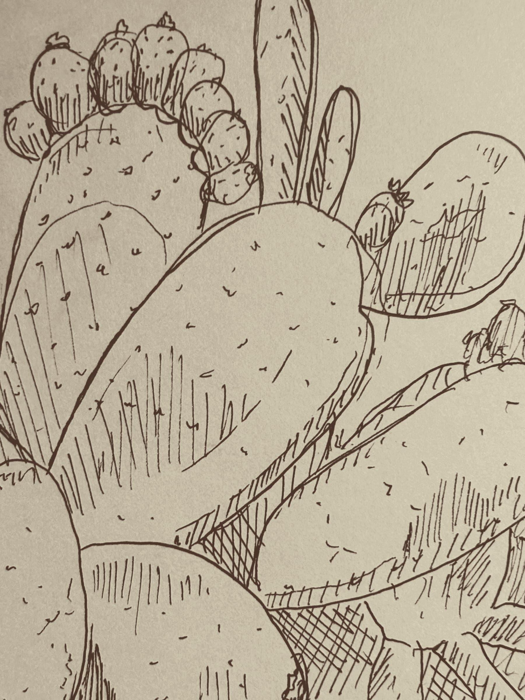 Sketch 14