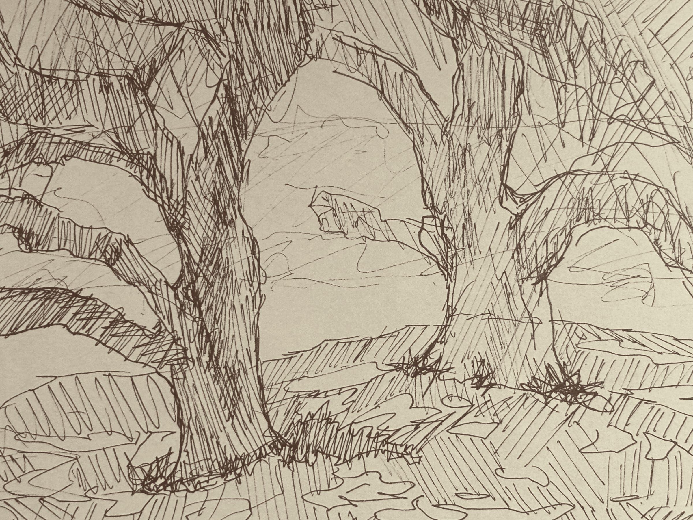 Sketch 17