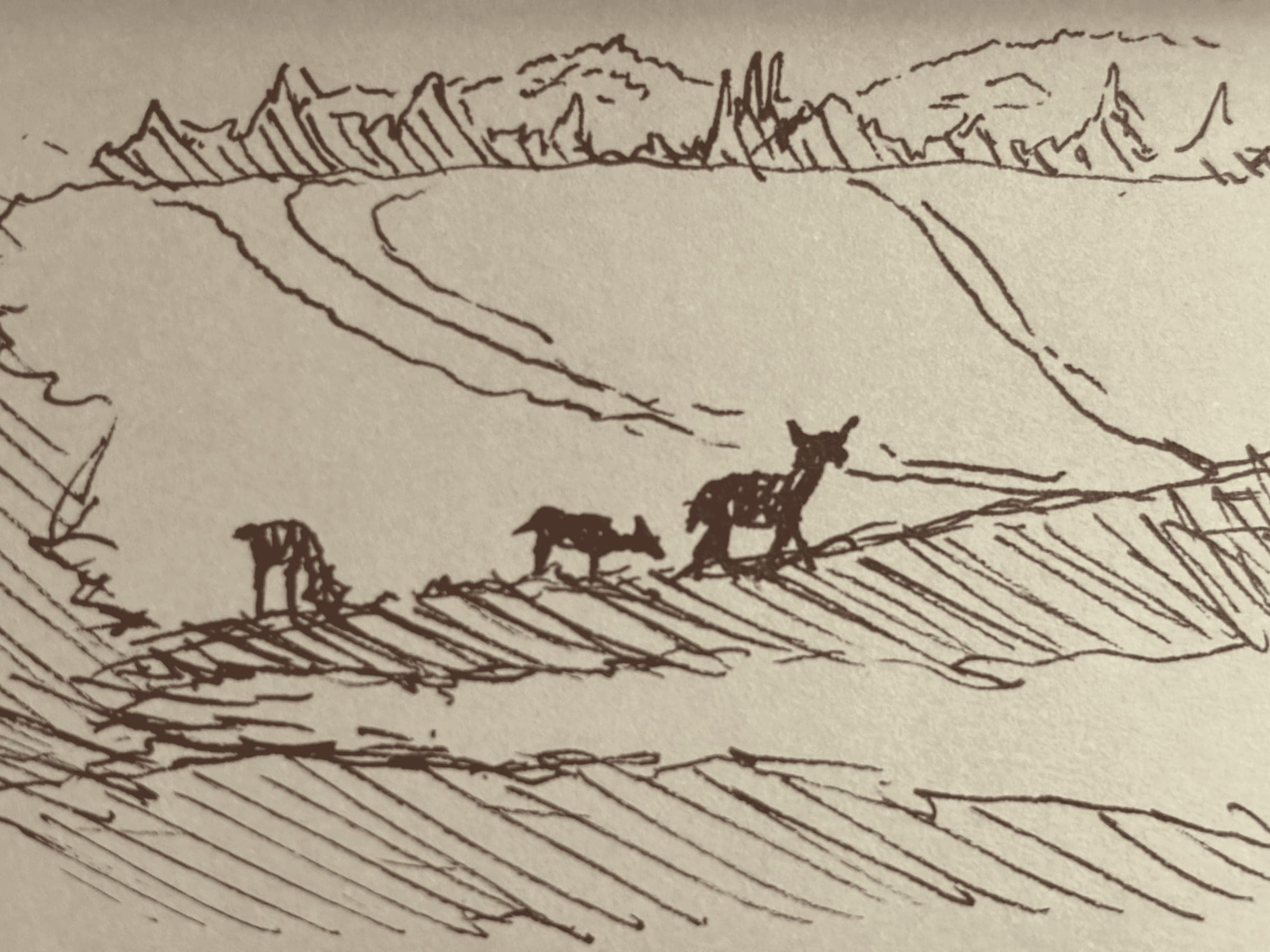 Sketch 7